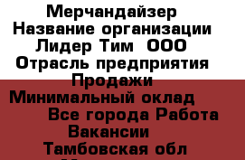 Мерчандайзер › Название организации ­ Лидер Тим, ООО › Отрасль предприятия ­ Продажи › Минимальный оклад ­ 26 000 - Все города Работа » Вакансии   . Тамбовская обл.,Моршанск г.